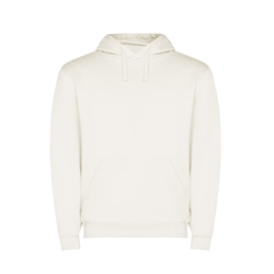 Sudadera Capucha - Imagen 1